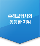 손해보험사와 동등한 지위